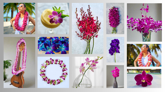 🌴 The Summer of Orchids: Tropical Parties, Beach Vibes, and Budget-Friendly Beauty