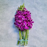 Fresh 10-stem bundle of Deep Violet Dendrobium Orchids with Purple & Pink Splash" blooms. Perfect for weddings, DIY bouquets, events, photography, and home décor. Includes water capsules for extended freshness