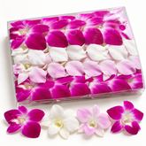 🌸 50 Loose Dendrobium Orchids – Purple & Pink Blush Mix | Fresh from Thailand, No Stems | Perfect for Garnishes, Decor, DIY & Events 🌸
