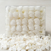 50 White Dendrobium Orchid Blooms – Loose Flowers | Orchid Love