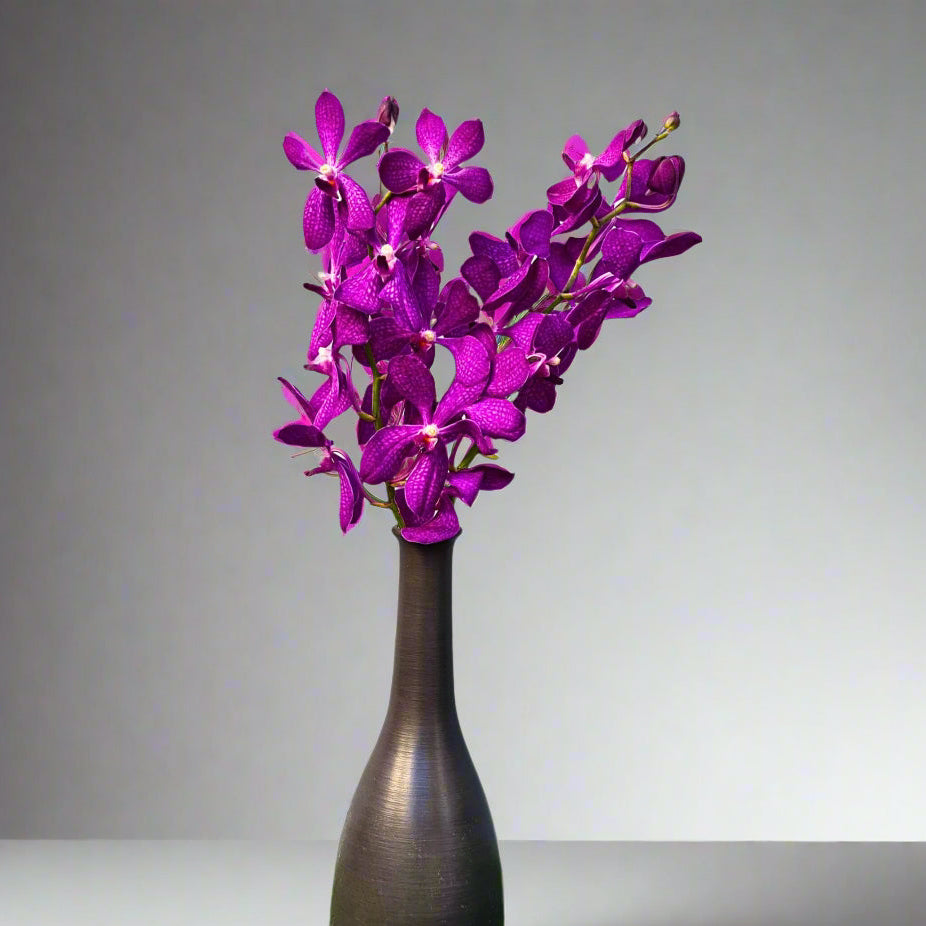 Stemmed Orchids