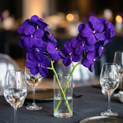 Purple Blue Vanda Orchid Bundle – 10 Fresh Exotic Stems for Weddings, DIY Bouquets, & Floral Décor