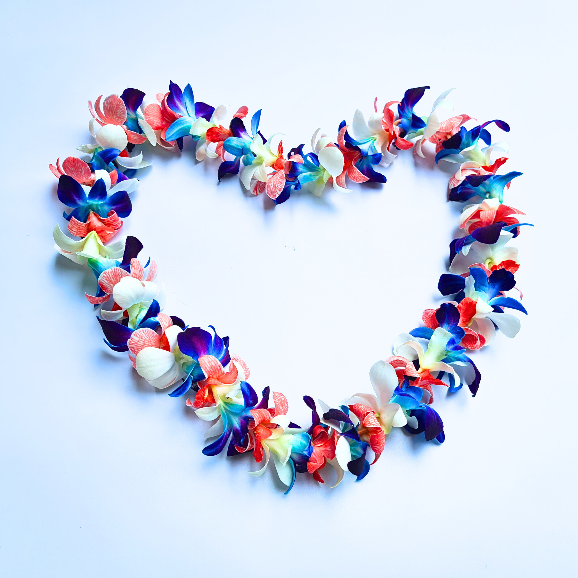 USA Orchid Lei – Red, White & Blue Single Strand Lei for 4th of July & Summer Celebrations