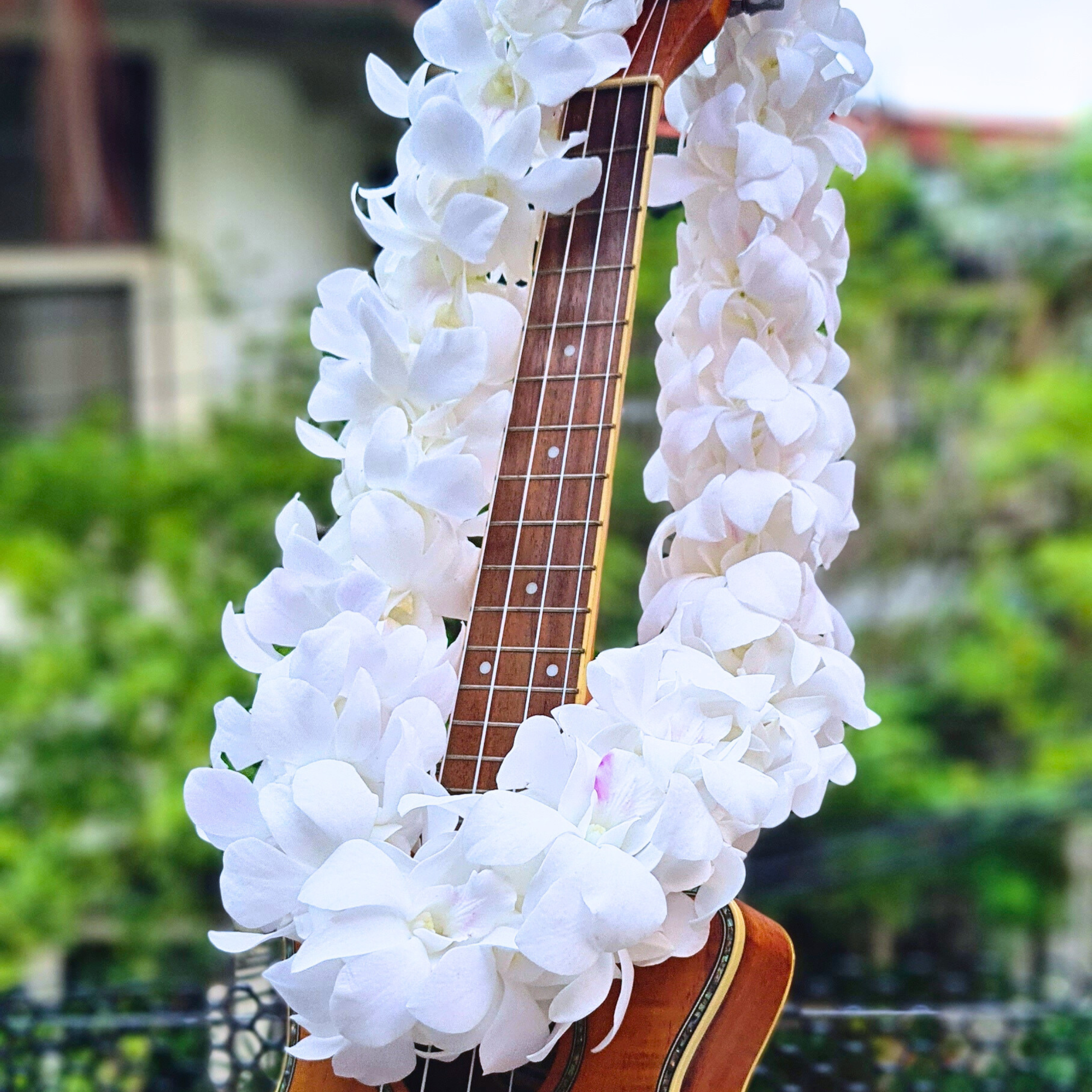 🌺 White Thai Orchid Lei – Fresh Double Strand Lei with 100+ Premium Dendrobium Blooms | Perfect for Weddings, Tropical Events, and Graduations 🌴