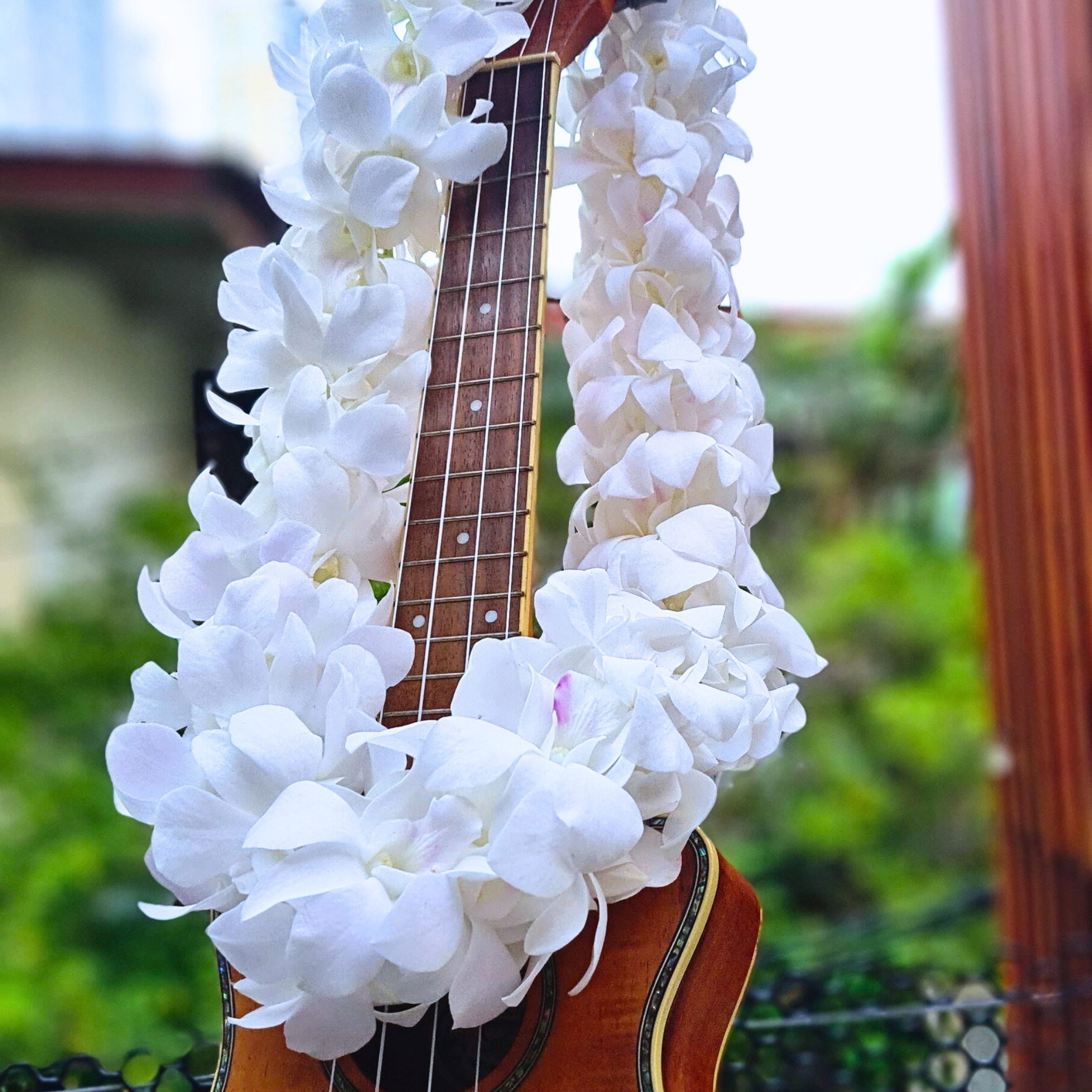 🌺 White Thai Orchid Lei – Fresh Double Strand Lei with 100+ Premium Dendrobium Blooms | Perfect for Weddings, Tropical Events, and Graduations 🌴