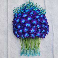 Blue Dendrobium Orchid Stems – Dyed Sonia Orchids for Weddings, DIY Bouquets & Event Decor