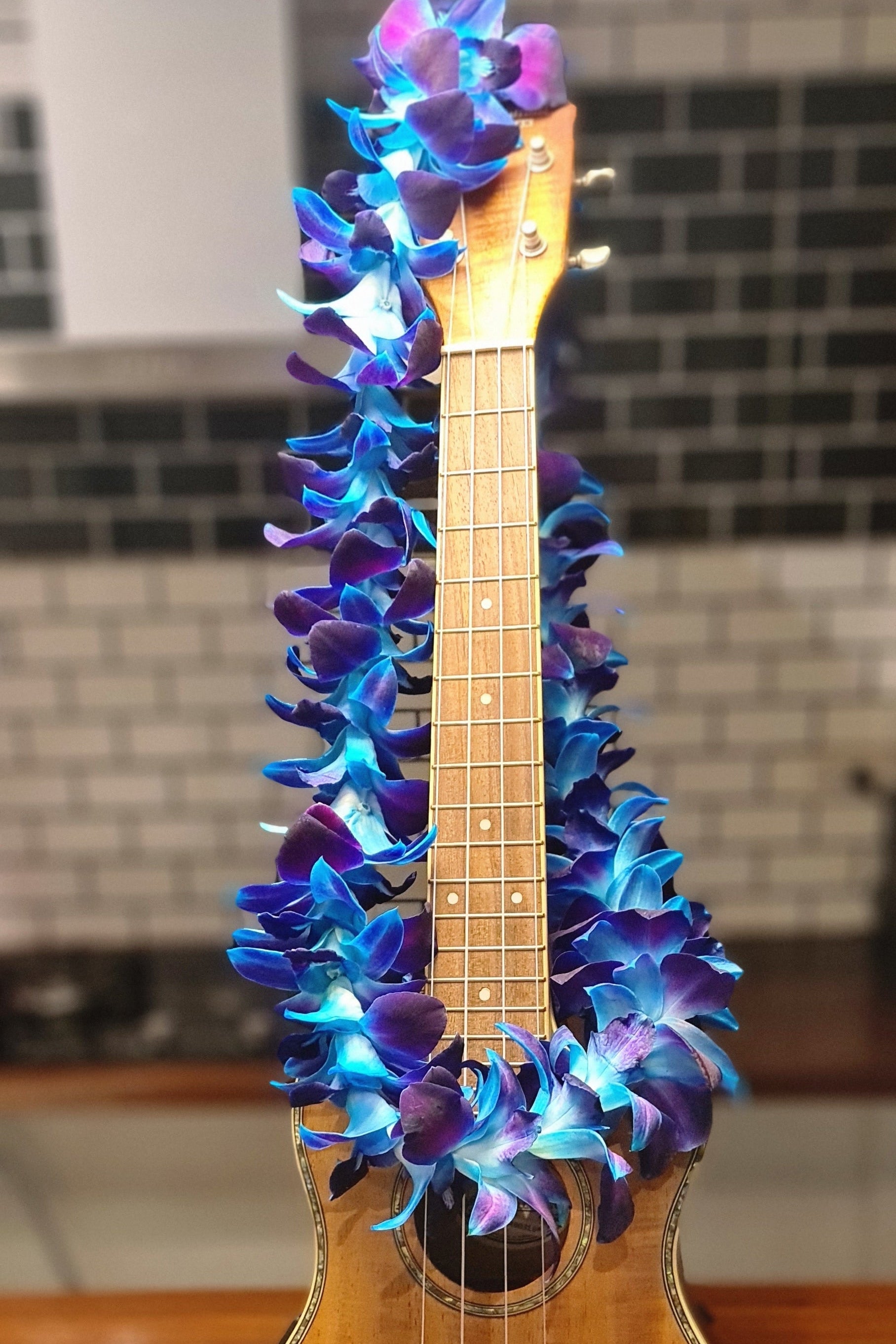 🌺 Blue Thai Orchid Lei – Fresh Single Strand with 50+ Dendrobium Blooms | Perfect for Weddings, Tropical Parties, Luaus, and Graduations 