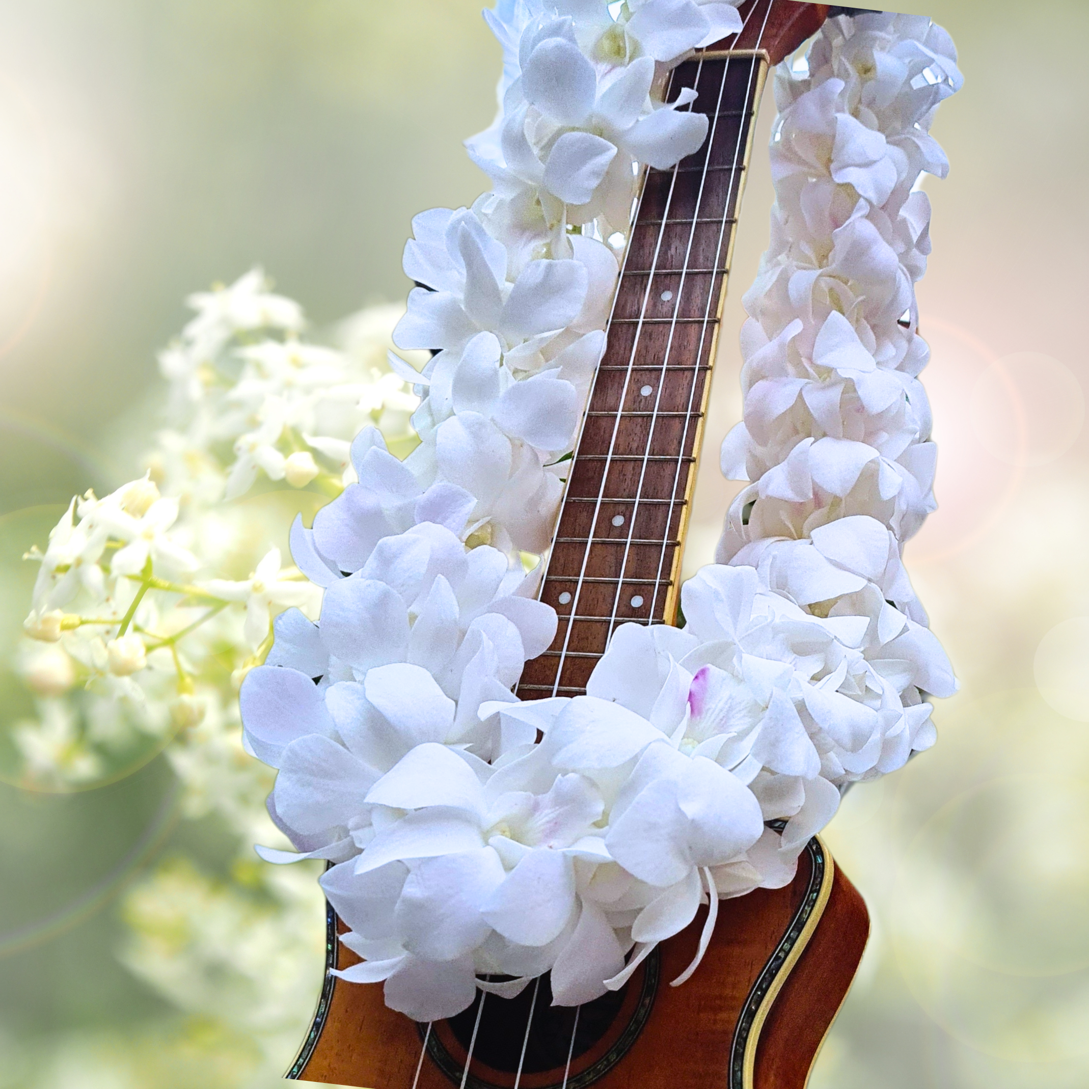 🌺 White Thai Orchid Lei – Fresh Double Strand Lei with 100+ Premium Dendrobium Blooms | Perfect for Weddings, Tropical Events, and Graduations 🌴