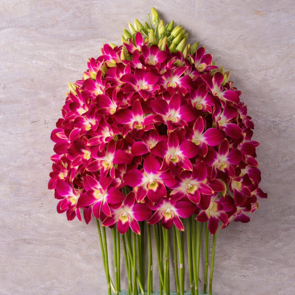 Dyed Dendrobium Orchids – 10-Stem Bundle in Purple, Yellow & Red | Fresh from Thailand