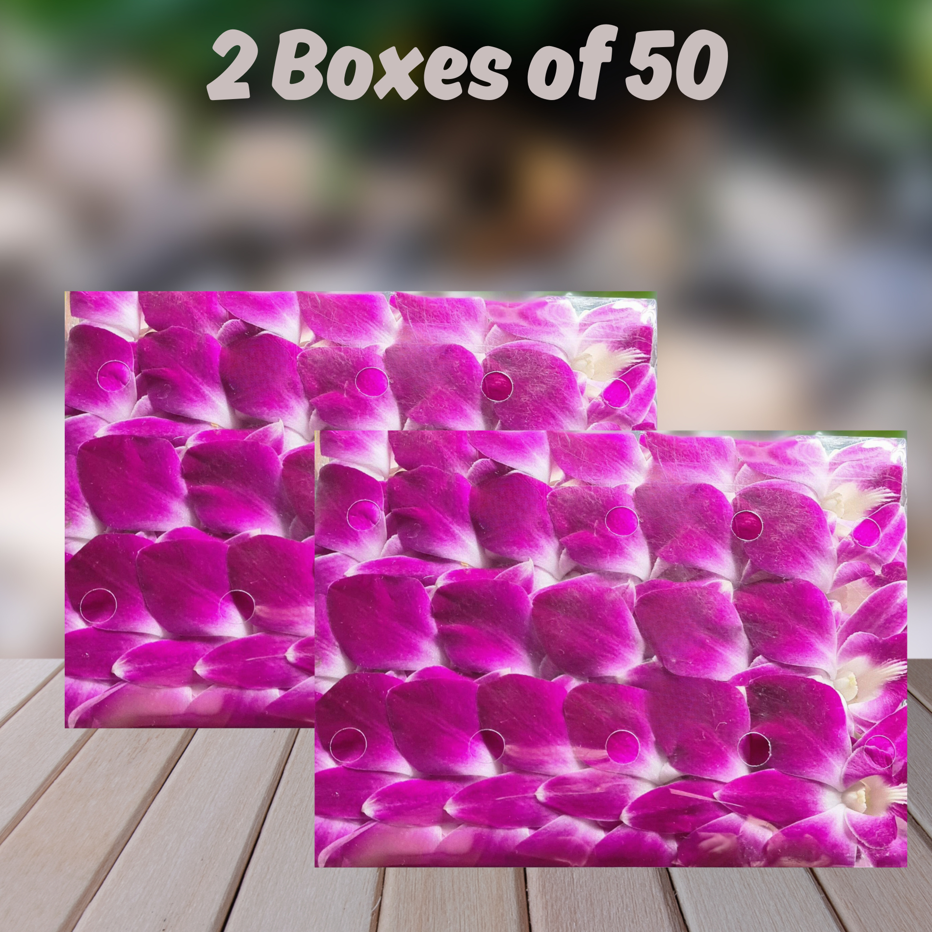 Purple Dendrobium Orchids Box | 50 Premium Blooms | Fresh from Thailand | Perfect for Events, Floral Arrangements, and DIY Projects | Long-Lasting and Versatile | Elegant Purple Flowers for Table Centerpieces and Hospitality









