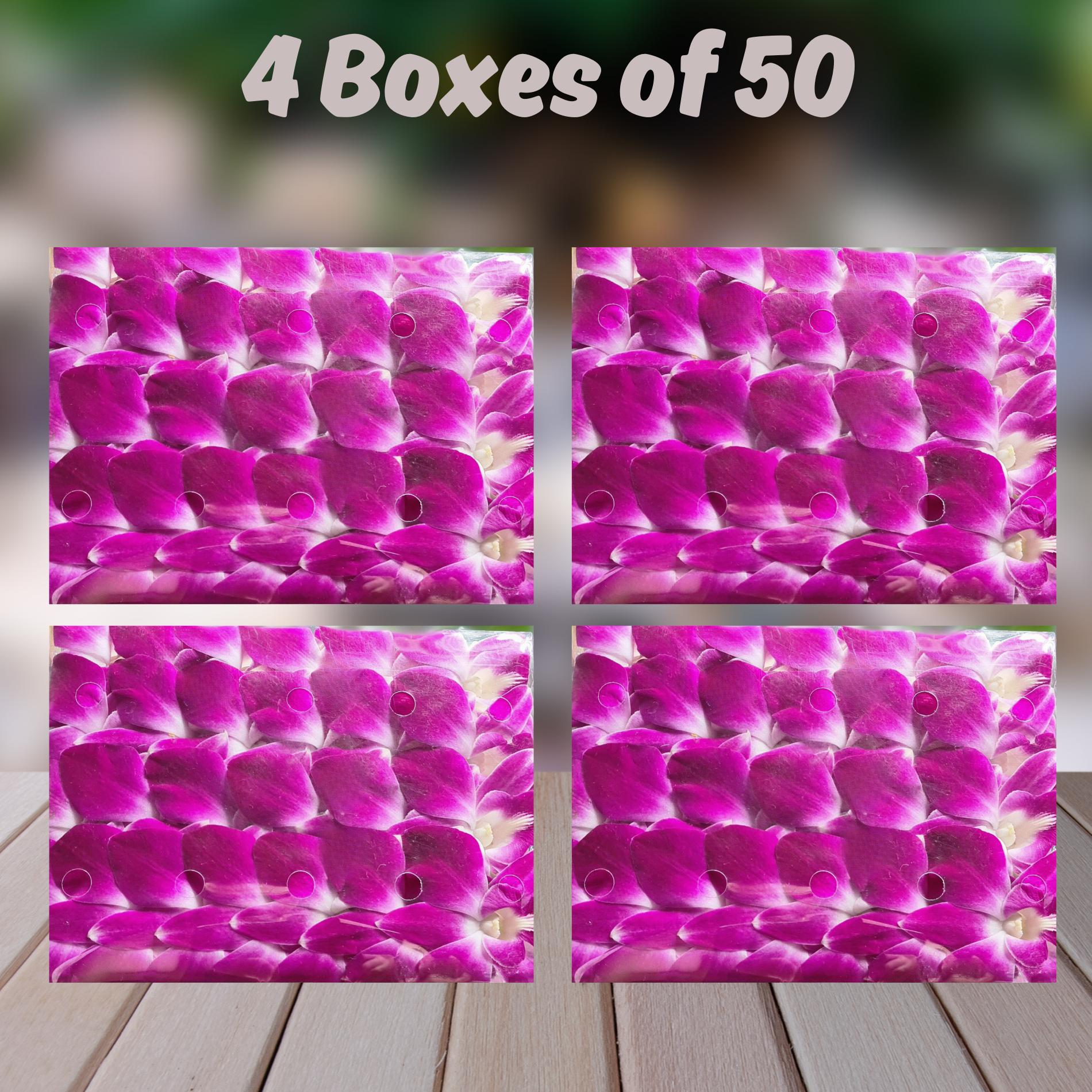 🌸 50 Premium Purple Dendrobium Orchids | Loose Blooms, No Stem, Fresh from Thailand | Ideal for Decorations, Food and Drink Garnishes, Photography, Display, DIY Projects and more 🌸