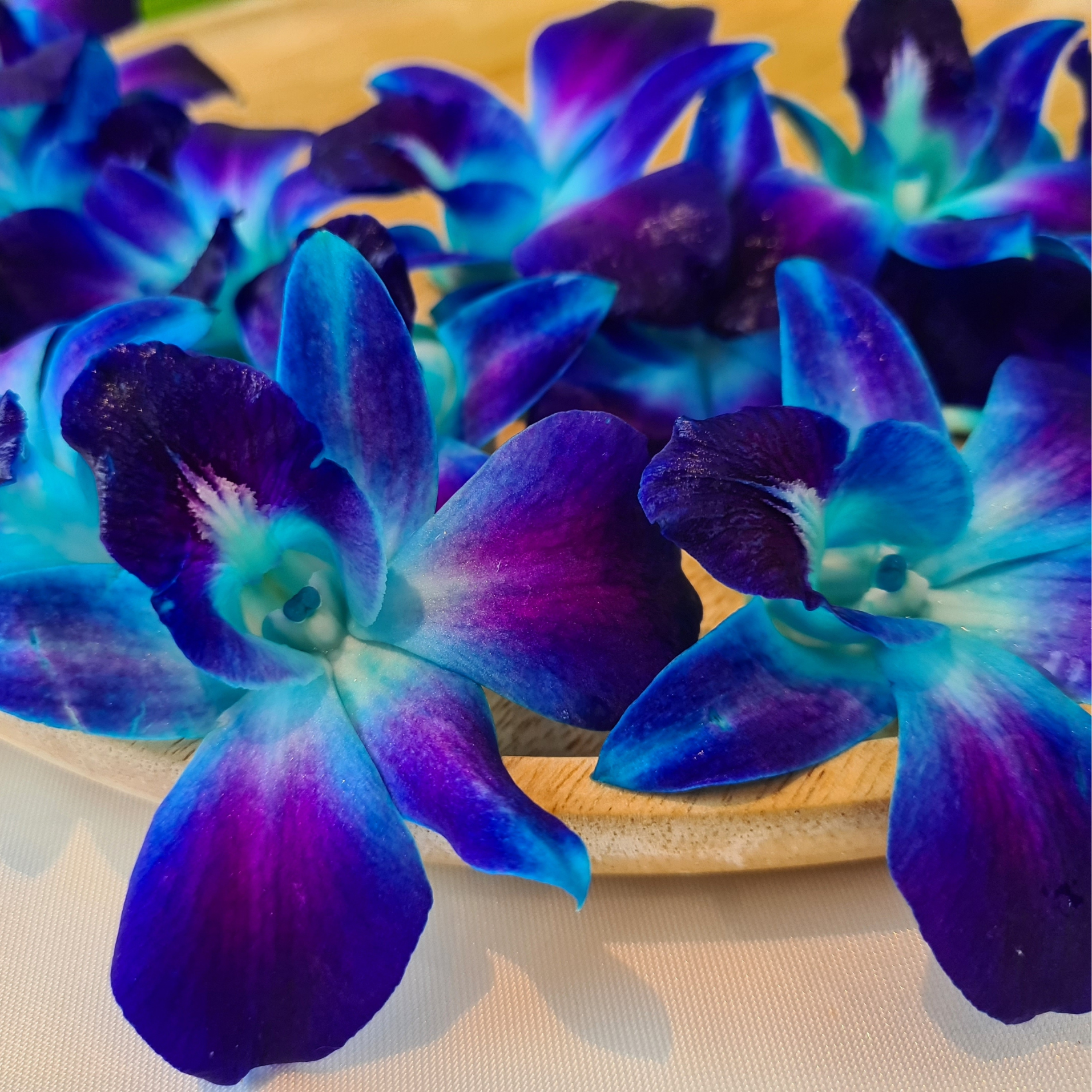 🌸 50 Premium Blue Dendrobium Orchids | Loose Blooms, No Stem, Fresh from Thailand, Ideal for Decorations, Food and Drink Garnishes, Photography, Display, DIY Projects🌸