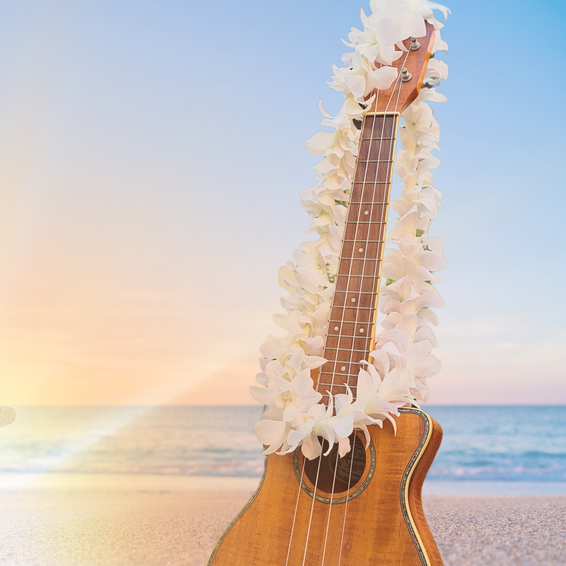 🌺 White Thai Orchid Lei – Fresh Single Strand Lei with 50+ Premium Dendrobium Blooms | Perfect for Weddings, Tropical Events, and Graduations 🌴