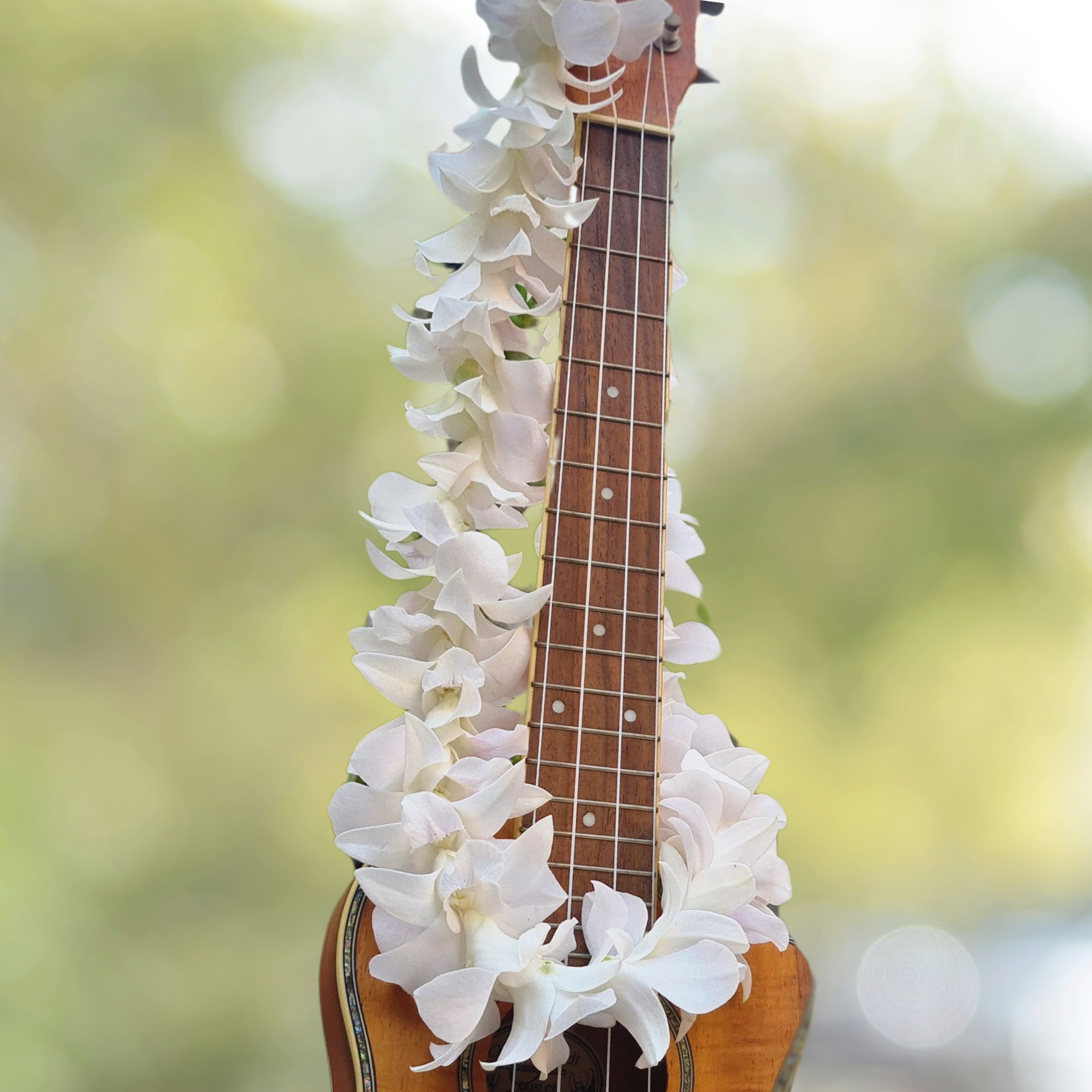 🌺 White Thai Orchid Lei – Fresh Single Strand Lei with 50+ Premium Dendrobium Blooms | Perfect for Weddings, Tropical Events, and Graduations 🌴