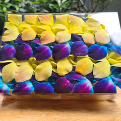 Top view of a clear box filled with mixed yellow and blue dendrobium orchid heads from Thailand.”