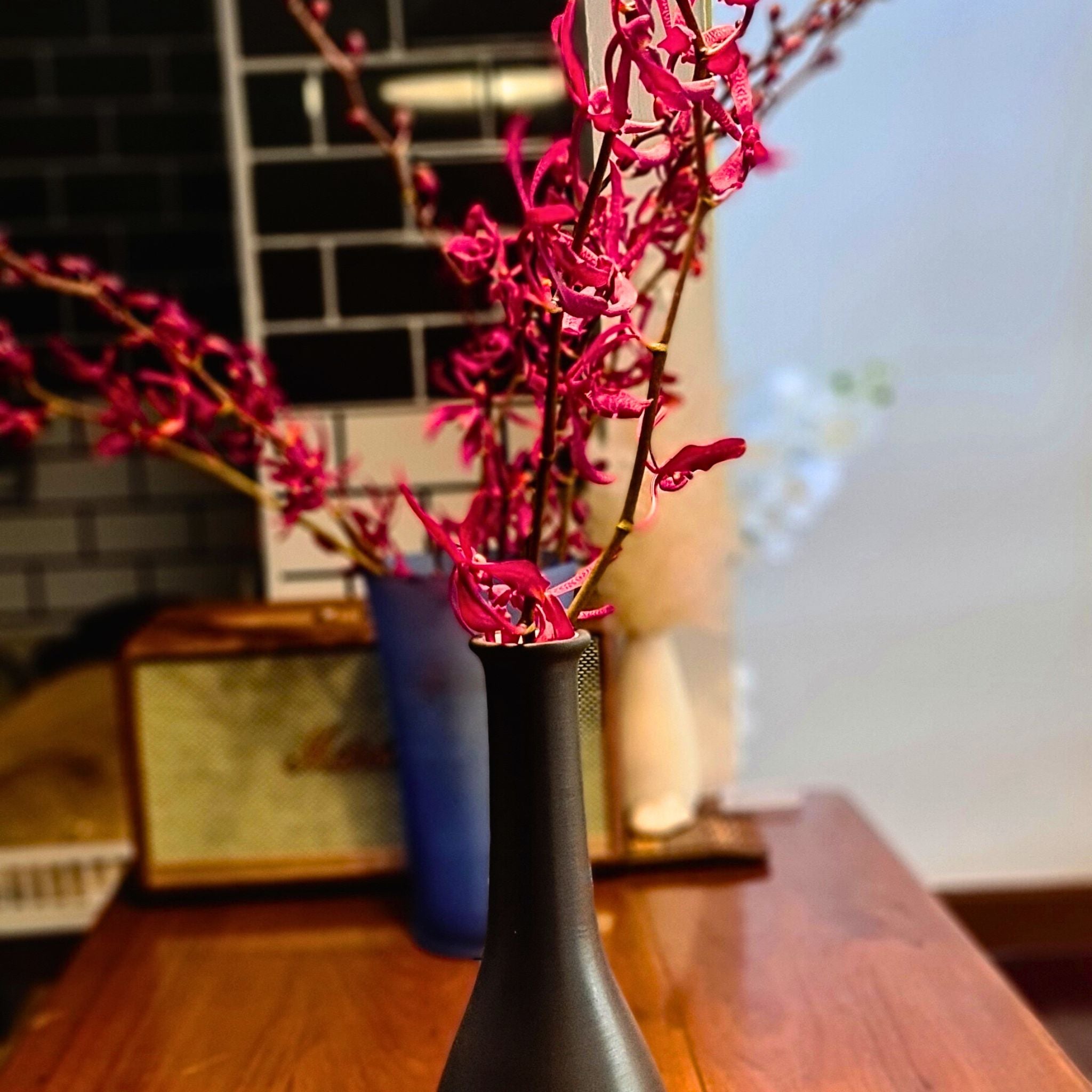 Red Aranthera Orchids with long stems, bold red petals, and exotic charm. Flown fresh daily from Thailand for weddings, tropical events, DIY floral arrangements, and home decor. Perfect for bouquet creators and centerpiece designs