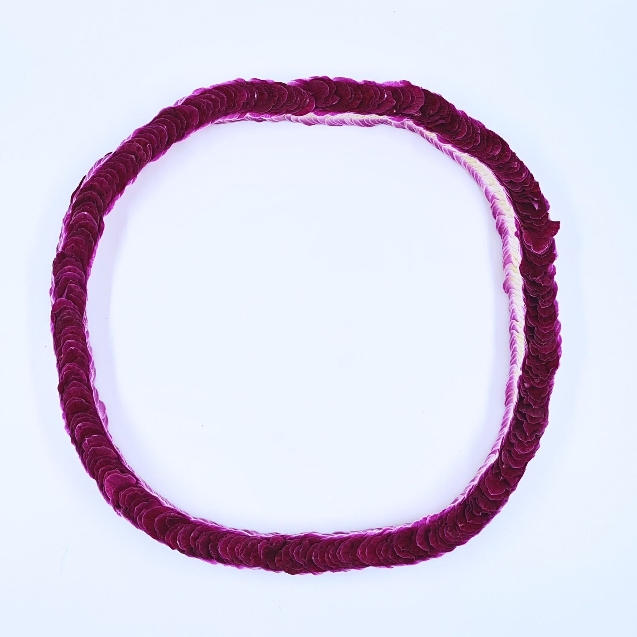 Crimson Dream Double Braided Orchid Lei – A handcrafted floral necklace woven with hundreds of deep crimson-purple and white orchid petals. This rare double-braided design gives the lei a rope-like floral appearance, making it a unique and elegant choice for graduations, luaus, weddings, and tropical events. Flown fresh from Thailand, this durable and stunning orchid lei is perfect for those seeking a luxurious and eye-catching floral accessory.