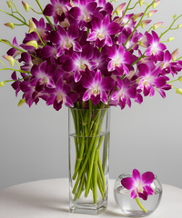 Fresh Purple Dendrobium Orchids – 10 Stems with Water Tubes | Flown from Thailand