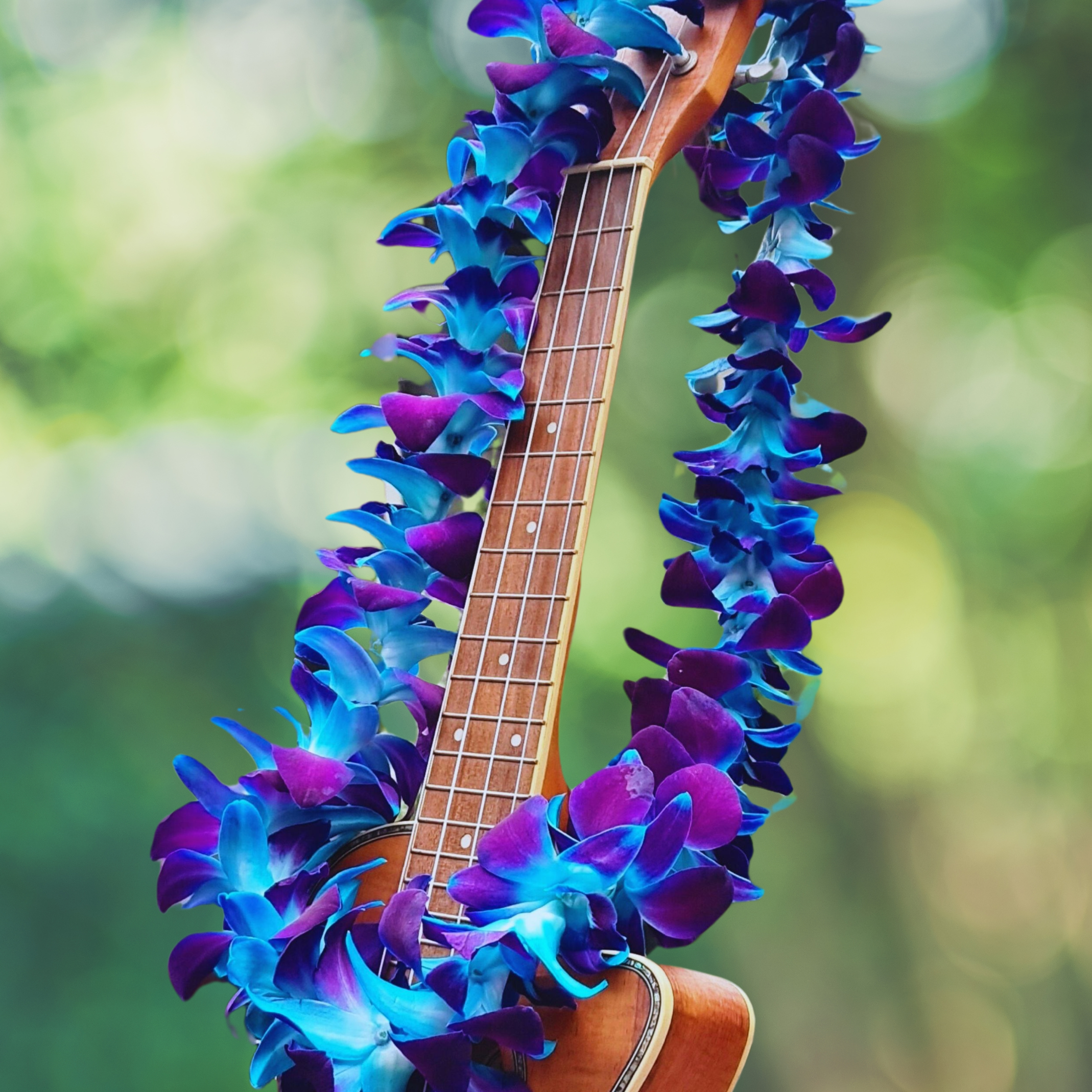 Elegant Single Blue Orchid Lei with 100 fresh, vibrant Dendrobium blooms from Thailand. Perfect for special occasions like graduations and beach parties, offering a striking and durable floral accessory.