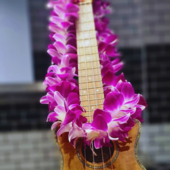 Elegant Single Purple Orchid Lei with 55 fresh, vibrant Dendrobium blooms from Thailand. Perfect for special occasions like graduations and beach parties, offering a striking and durable floral accessory.