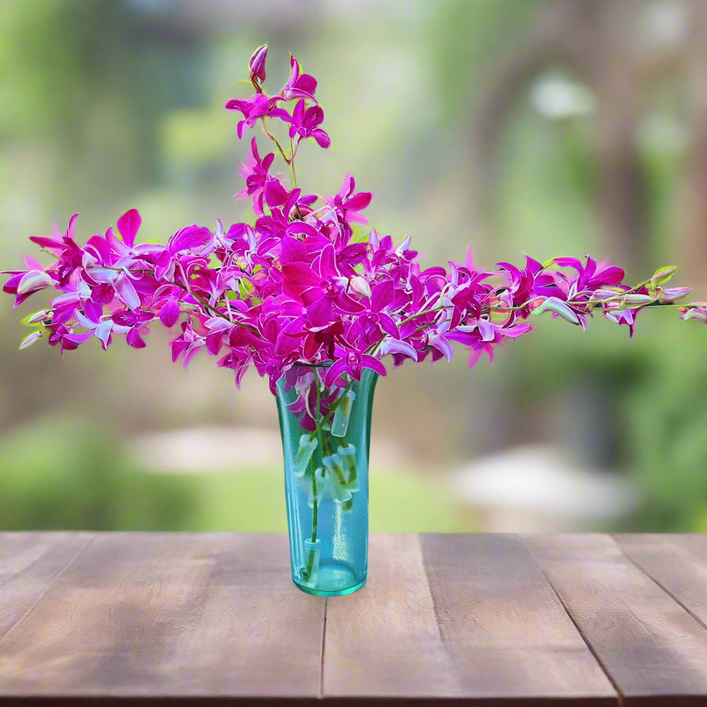 🌸 Thai "Miss Siam Red" orchids with rare purple blooms and white petal edges. Freshly harvested, long-lasting flowers with water capsules. Perfect for florists, event decor, and DIY floral projects. Bundles of 10 stems available with free shipping!