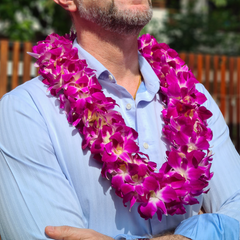  Double Purple Orchid Lei featuring 100 fresh Thai Dendrobium orchids. This durable and colorful lei is perfect for upscale events, beach parties, and weddings. Flown in weekly for optimal freshness. 