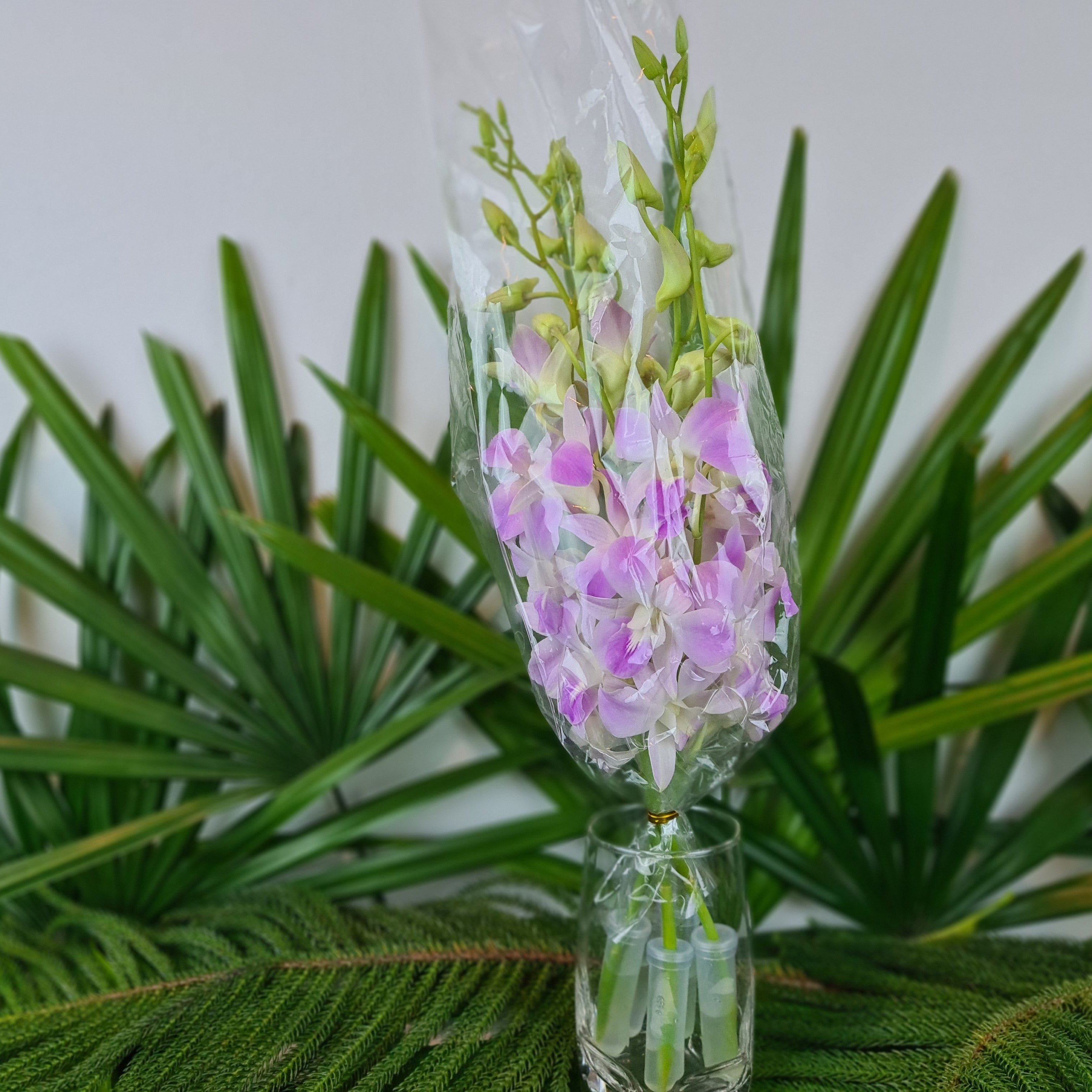 "Peach Orchid Dendrobium - 10 stems with water capsules, featuring a lovely Pink Blush color. Ideal for weddings, restaurants, and home decor. Fresh orchids flown in from Thailand, ensuring top-notch quality."