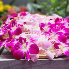 Purple & Pink Blush Dendrobium Orchid Box | 50 Fresh Blooms | Shipped from Thailand | Ideal for Event Decorations and DIY Projects | Long-Lasting Blooms