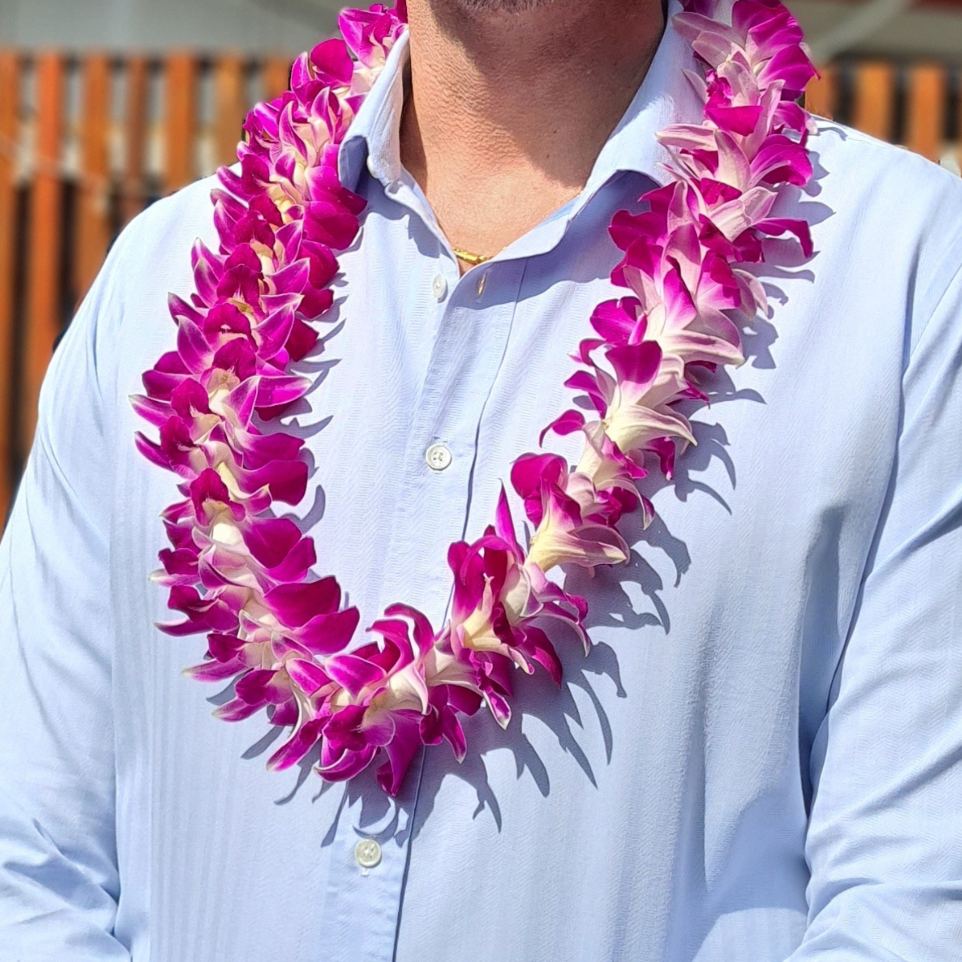 Luxurious Single Purple Orchid Lei made with 55 premium Dendrobium orchids. Ideal for weddings and tropical events, this lei provides a stunning, fresh look with blooms flown in weekly from Thailand.