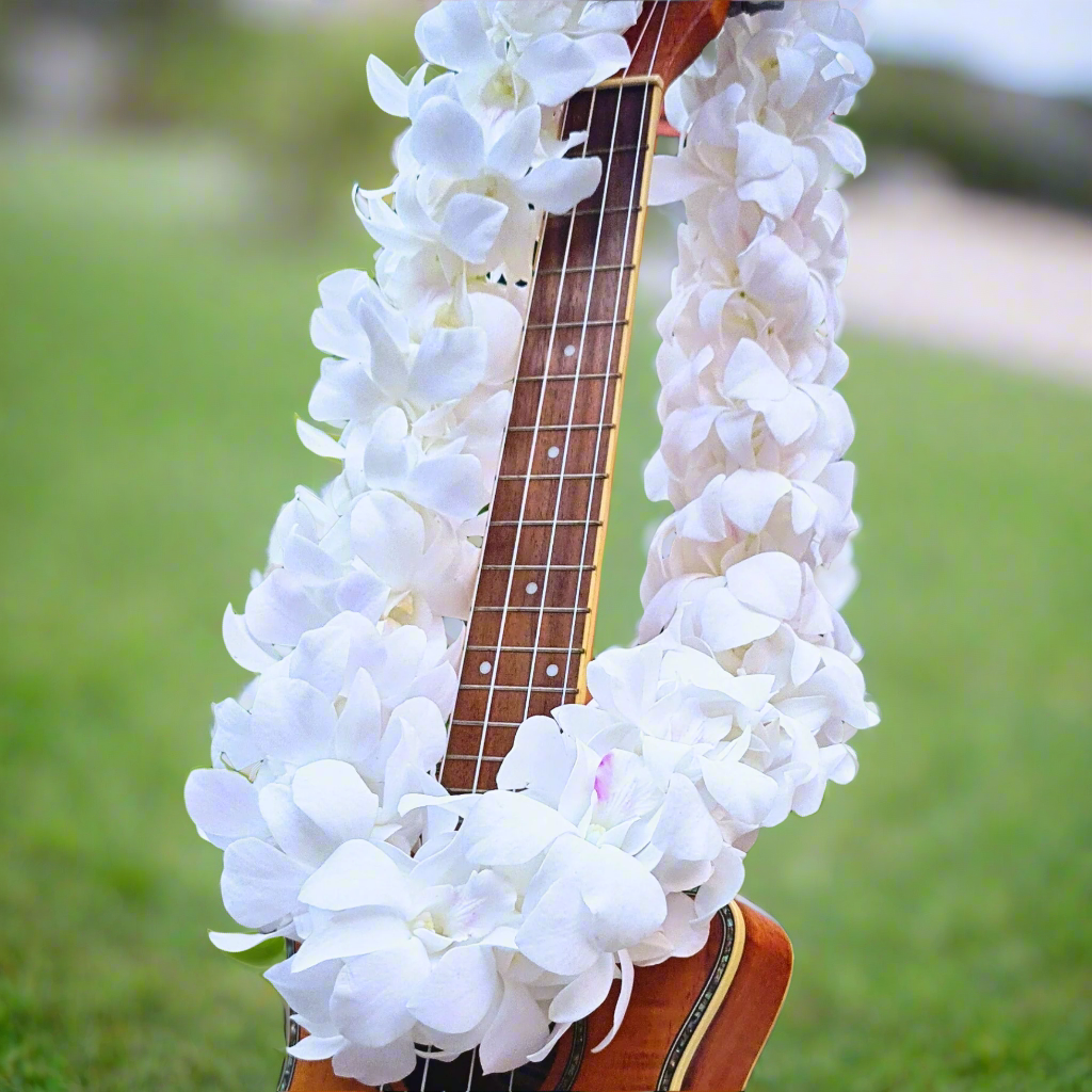 Elegant White Orchid Lei made from over 100 fresh Dendrobium orchids, measuring 39 inches. Ideal for special occasions like weddings, graduations, and tropical events. This double thick lei offers stunning beauty and long-lasting freshness