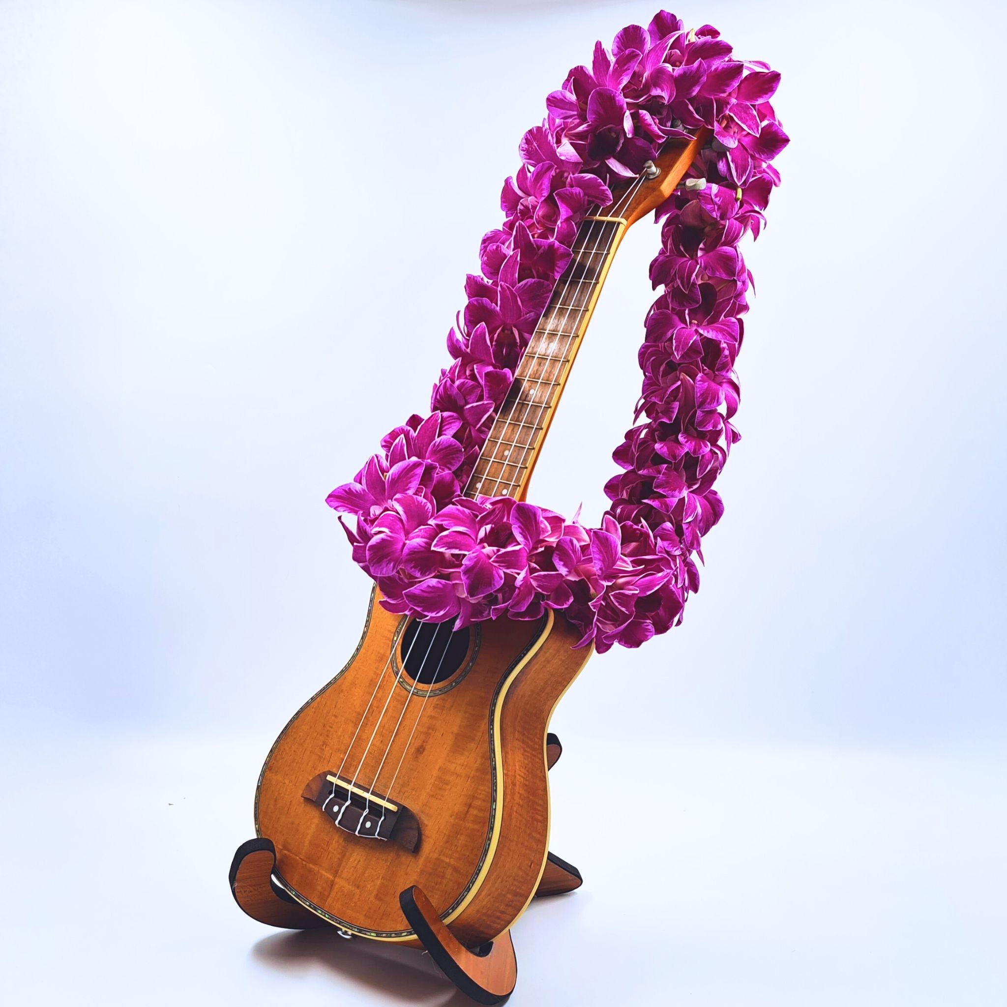 Introducing the Pink Splash Lei, a double strand lei featuring white orchids with a soft pink splash on the petals. Perfect for weddings, graduations, and tropical events, this stunning floral accessory adds a unique, artistic flair to your celebration. The combination of white and pink blooms creates an eye-catching and elegant design that will leave a lasting impression at any event.
