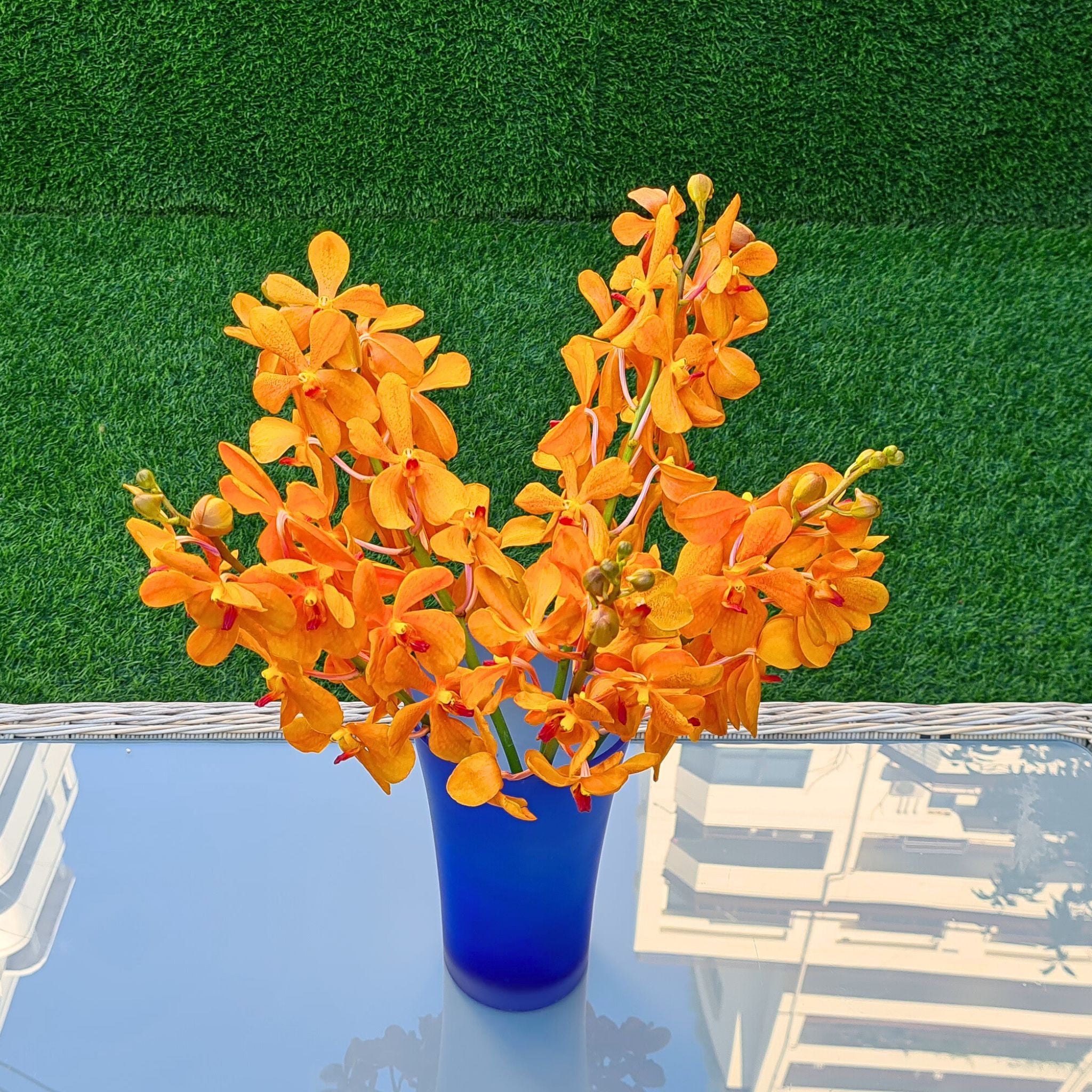 Exotic Aomyai Orange Mokara Orchids, 10 fresh stems from Thailand, perfect for wedding bouquets, floral centerpieces, home decor, and DIY floral projects. Vibrant tropical flowers add a pop of color and elegance to any event or gift