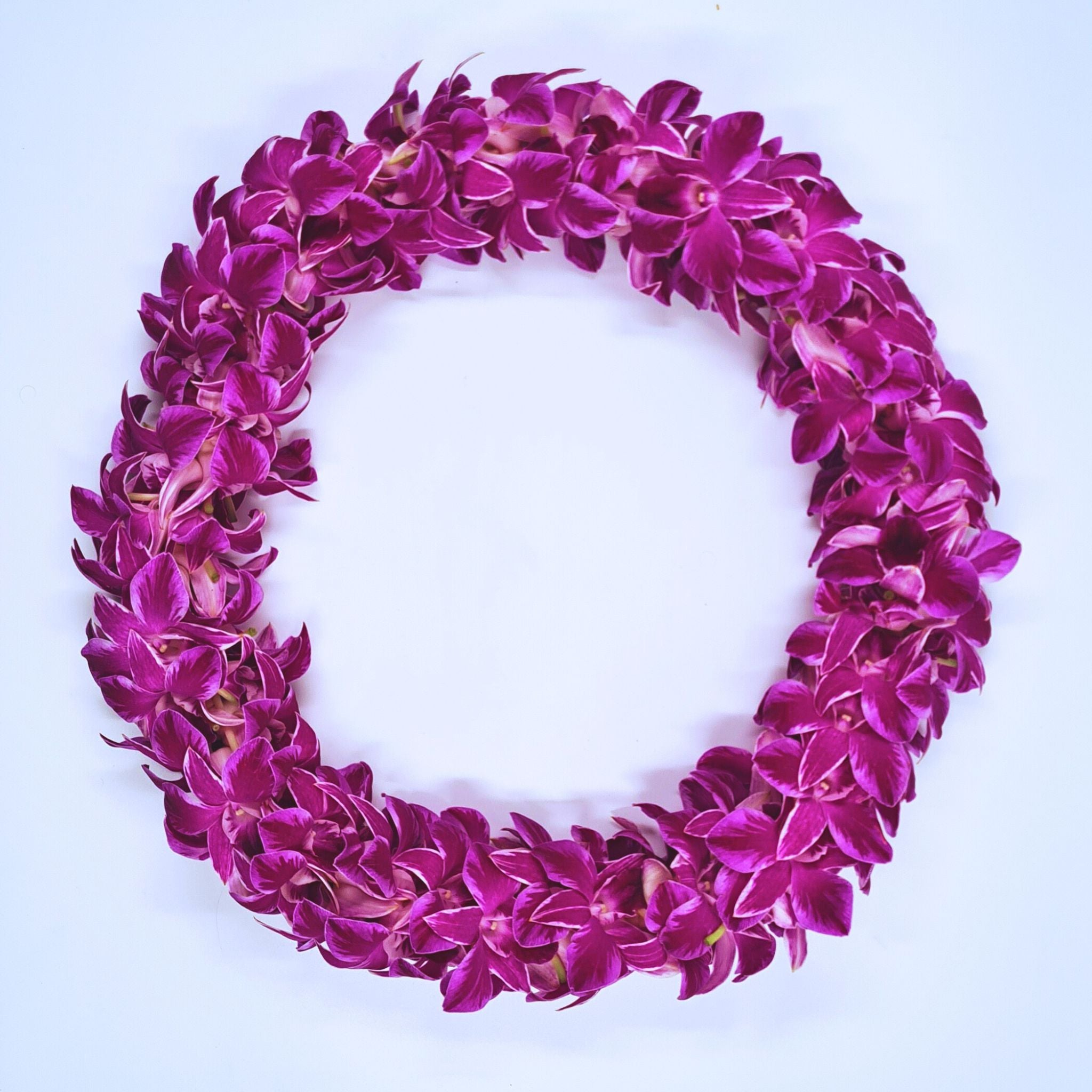 The Pink Splash Lei is a one-of-a-kind double strand orchid lei made from fresh white orchids with a pink splash on the petals. Its stunning design is ideal for weddings, graduations, and tropical parties. This floral accessory adds a chic and stylish touch to any outfit, making it the perfect choice for anyone looking to add a pop of color and elegance to their special day.