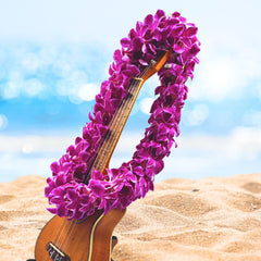 The Pink Splash Lei is a unique double strand floral lei made from fresh white orchids with a delicate pink splash on the petals. Ideal for weddings, graduations, and tropical events, this lei offers a stylish and distinctive touch to any occasion. Its soft pink accents and elegant design make it perfect for a wide range of celebrations, adding beauty and charm to your special day.