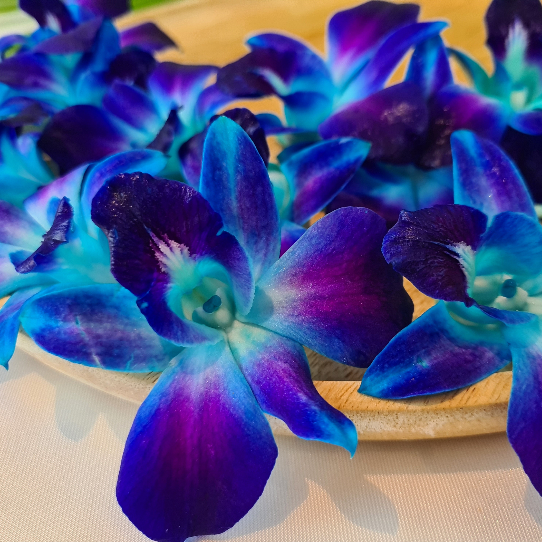 Gorgeous Single Blue Orchid Lei with 100 high-quality Dendrobium blooms. Freshly sourced from Thailand, this lei is perfect for tropical events, weddings, and graduations, offering a vibrant and unique look.