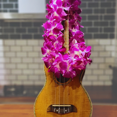  Enhance your celebration with our Double Purple Orchid Lei. Made from 100 fresh Thai Dendrobium orchids, this strong and vibrant lei is ideal for weddings, graduations, and tropical-themed events.