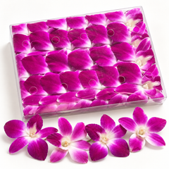 🌸 50 Premium Purple Dendrobium Orchids | Loose Blooms, No Stems | Fresh from Thailand – Perfect for Decorations, Garnishes, DIY Projects & More 🌿