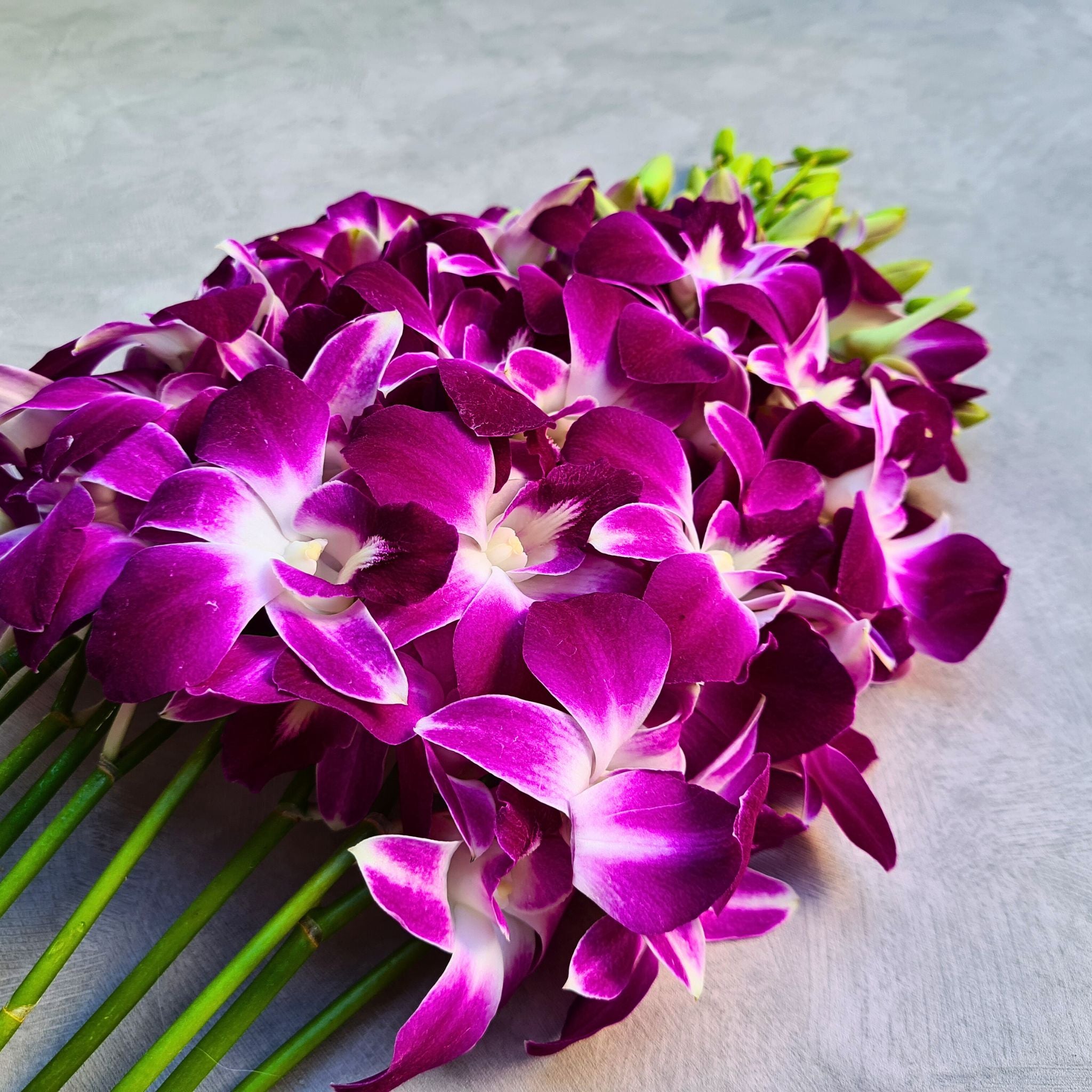 Fresh Purple Dendrobium Orchids bundle of 10 stems,  from Thailand & equipped with water capsules for long-lasting freshness. Ideal for floral arrangements, bouquets, event decor, or home decorations, DIY Projects, Bouquet Creations. Photography