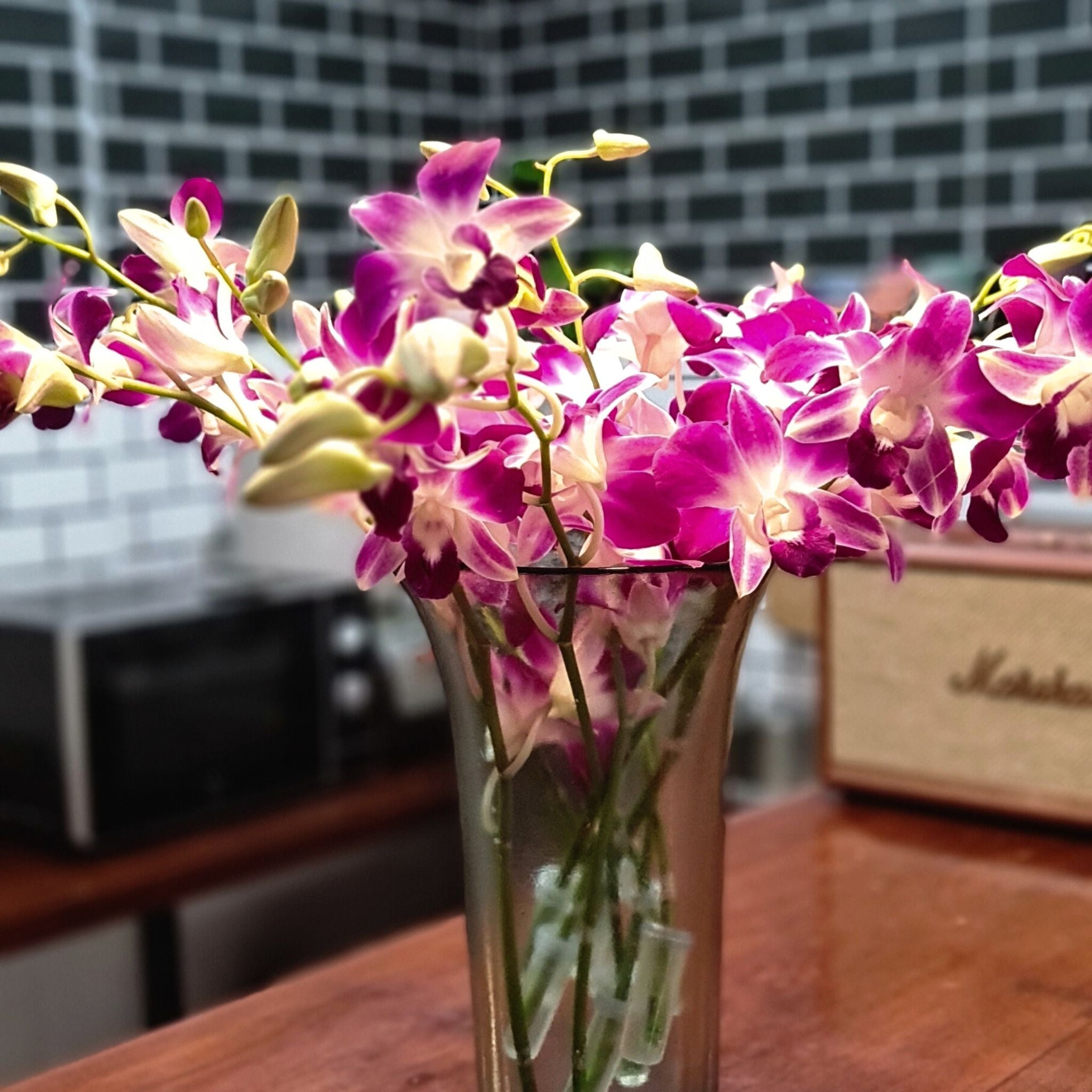 Fresh Purple Dendrobium Orchid bundle of 10 stems, each with a water capsule to extend freshness. Flown in from Thailand, these orchids are perfect for weddings, events, and home decor. Beautiful purple blooms that brighten up any floral arrangement