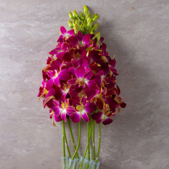 🌸 Fresh Yellow & Red Blend Dendrobium Orchids – Bundle of 10 Stems with Water Capsules | Long-Lasting Thai Blooms Flown in Directly from Thailand 🌸