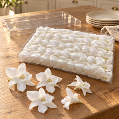 50 White Dendrobium Orchid Blooms – Loose Flowers | Orchid Love