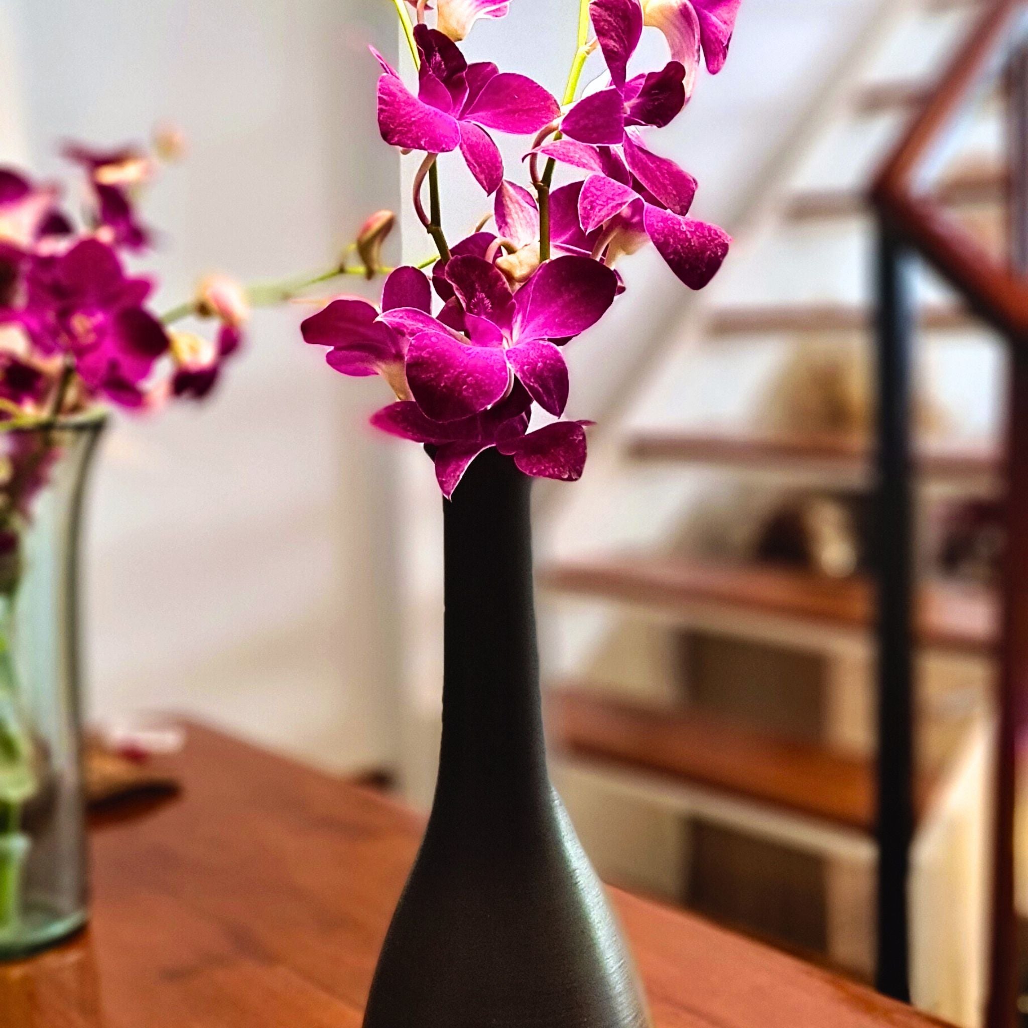 Red Bull Dendrobium Orchid with rich red-violet Sonia bloom, attached to a long stem & shipped fresh. Perfect for weddings, event centerpieces, & DIY floral arrangements, this vibrant flower offers bold beauty & unmatched elegance