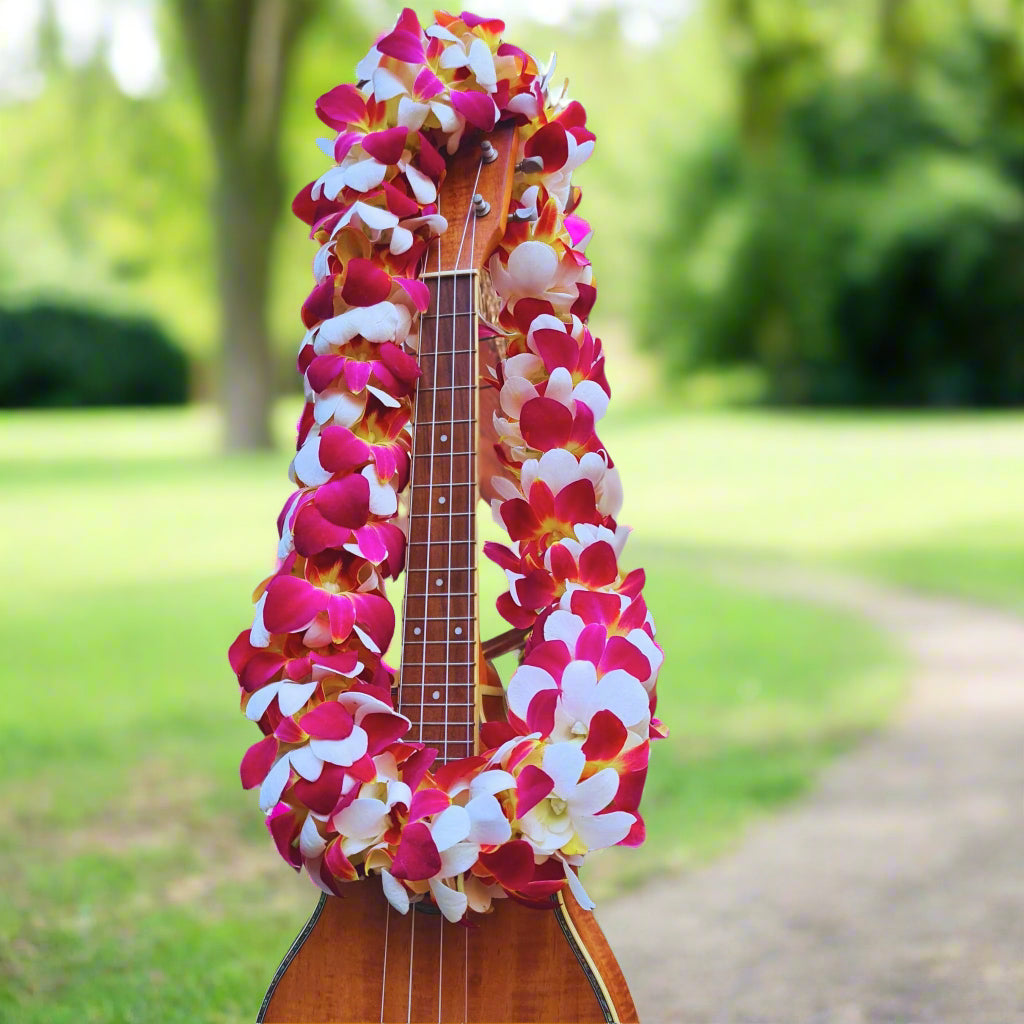  Tequila Sunrise Orchid Lei – Handmade Double-Strand Lei. Features vibrant red, yellow & white orchids flown fresh from Thailand. Ideal for graduations, tropical weddings, Hawaiian luaus & summer events. Elegant & festive floral lei.