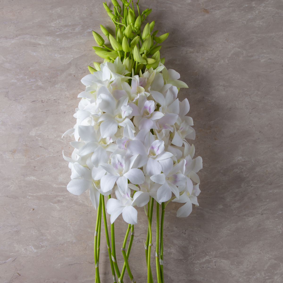 🌸 Fresh White Dendrobium Orchids – Bundle of 10 Elegant Stems with Water Capsules | Perfect for Weddings, DIY Bouquets, Events, Photography & Home Decor 🌿