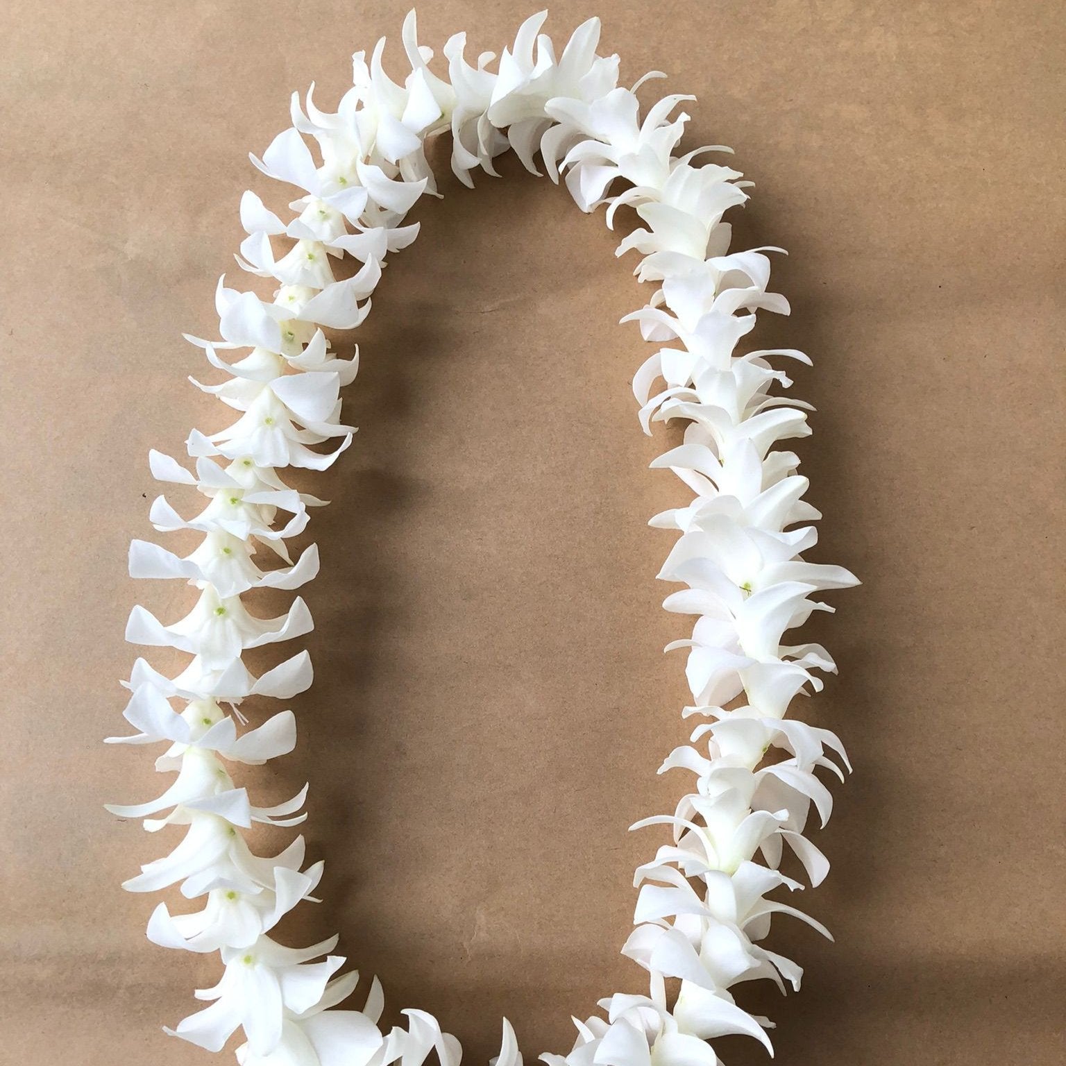White orchid lei fresh Dendrobium blooms, perfect for weddings, beach parties, graduations, & tropical celebrations. Handcrafted with high-quality orchids from Thailand, it offers a stunning accessory for luaus, concerts, BBQs, and poolside events