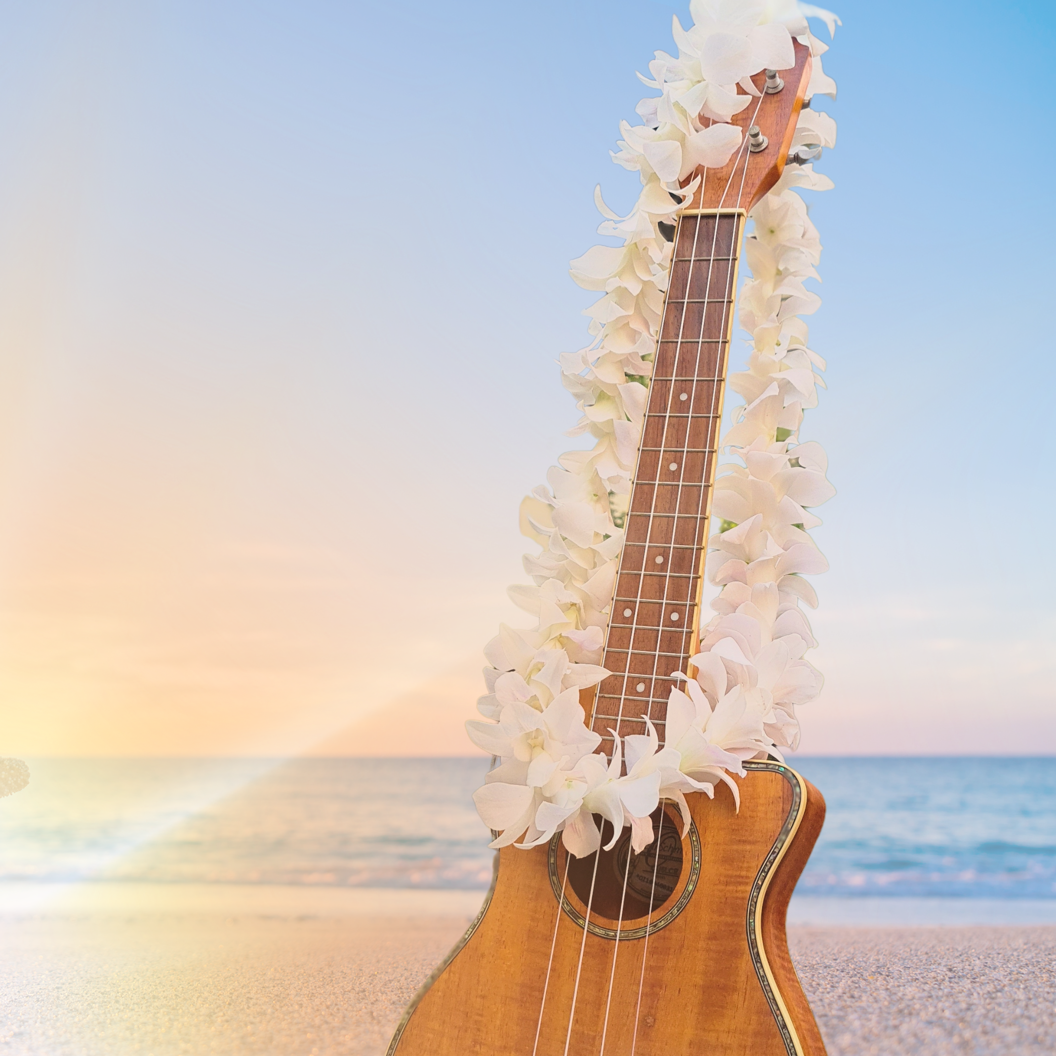 Single strand white orchid lei made with fresh Dendrobium orchids, flown from Thailand weekly. Perfect for tropical weddings, beach parties, graduations, and festive events. This elegant lei enhances luaus, BBQs, and poolside gatherings