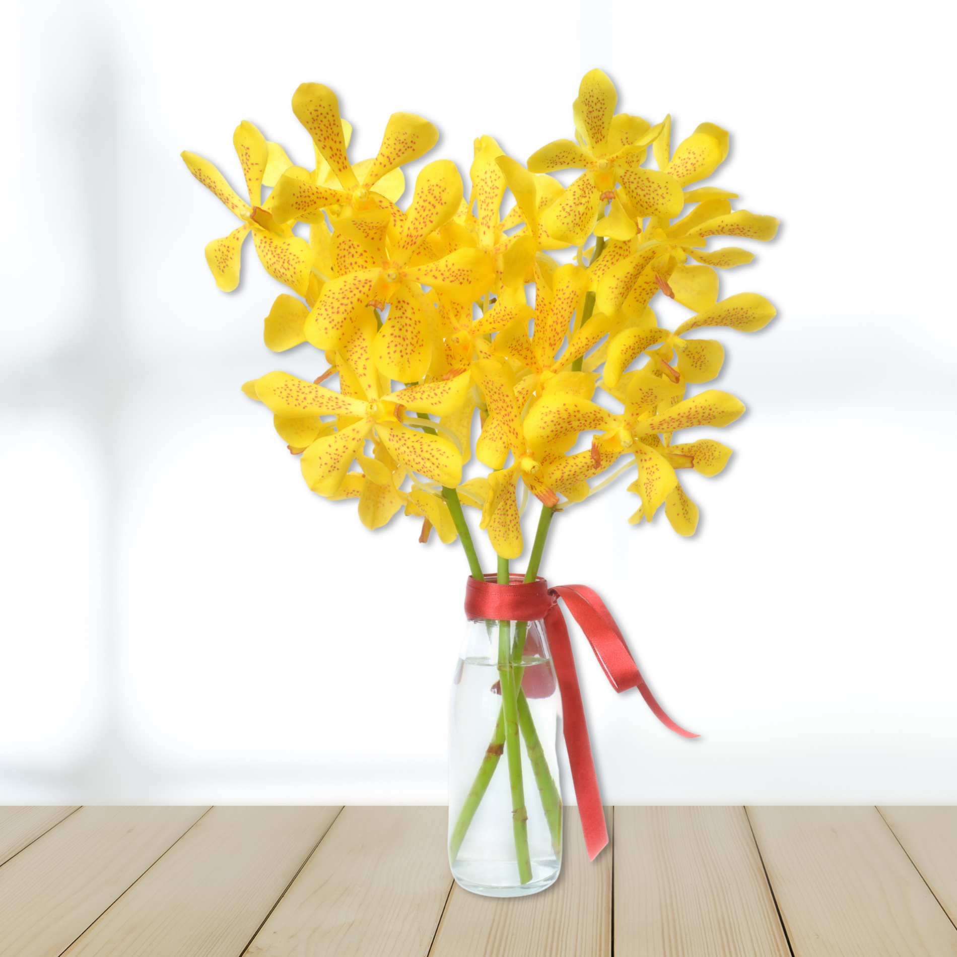 Bright Yellow Mokara Orchids - 10 stems with water tubes. Freshly flown in from Thailand, ideal for weddings, home decor, and special occasions. Long-lasting blooms with water capsules ensure beautiful arrangements and gifts.