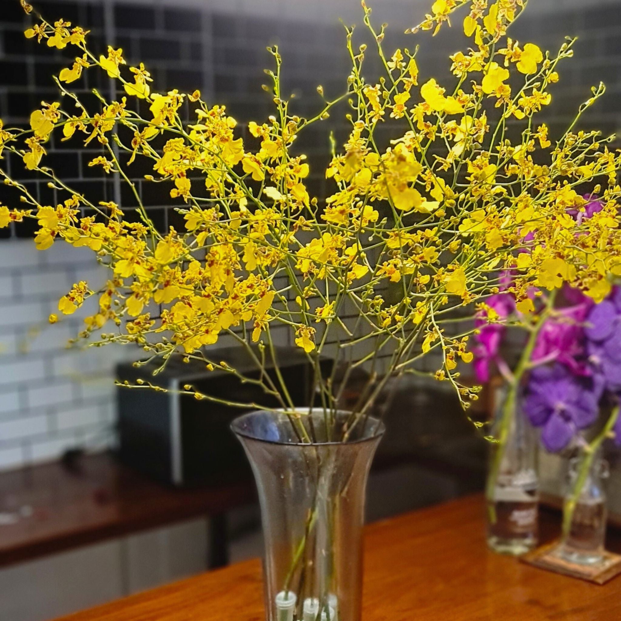 Rare Yellow Oncidium Orchids "Golden Shower" with cascading blooms ideal for wedding bouquets, event centerpieces, home decoration, and tropical themes. Long-lasting, vibrant, and elegant, these orchids bring beauty and sophistication to your floral arrangements.