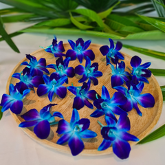 50 Premium Blue and Dark Purple Dendrobium Orchids | Fresh Weekly from Thailand | Ideal for Weddings and Parties | Long-Lasting and Versatile | Perfect for Decorations, DIY Leis, and Floral Arrangements