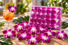 🌸 50 Premium Purple Dendrobium Orchids | Loose Blooms, No Stems | Fresh from Thailand – Perfect for Decorations, Garnishes, DIY Projects & More 🌿